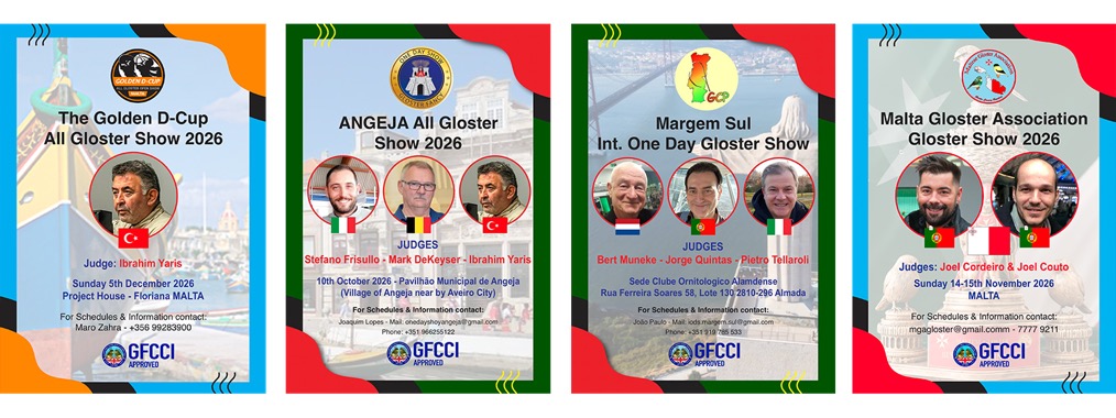 GFCCI Approved All Gloster Shows 2